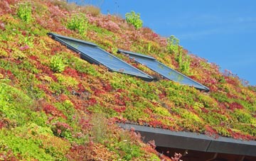 Pontarddulais living roof systems