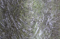 Pontarddulais fibreglass roof work